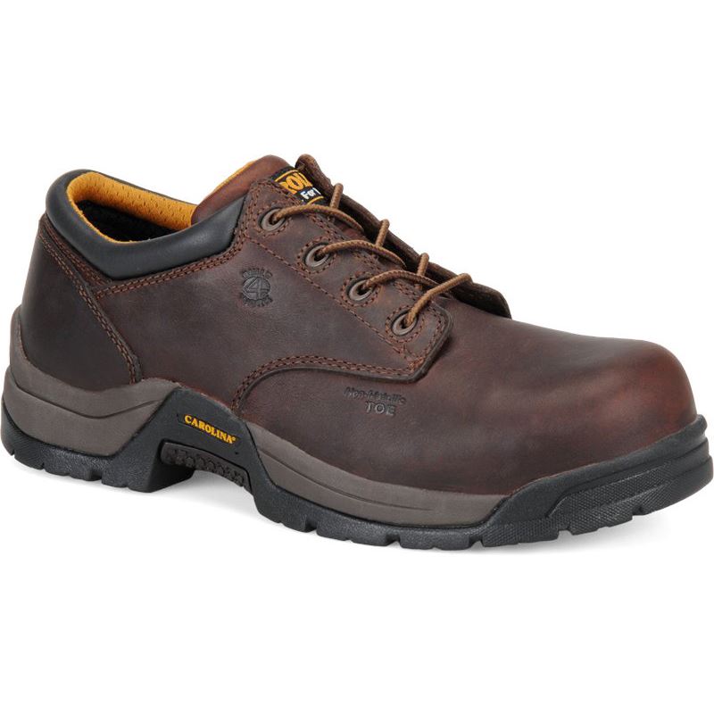 CAROLINA MEN'S BRAZE COMP TOE in DARK BROWN